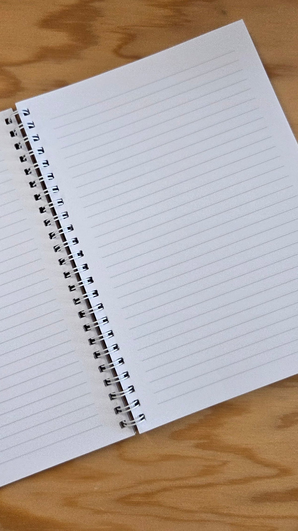 Carnet de notes "Il n'y a pas d'étranger·e·s sur cette terre"