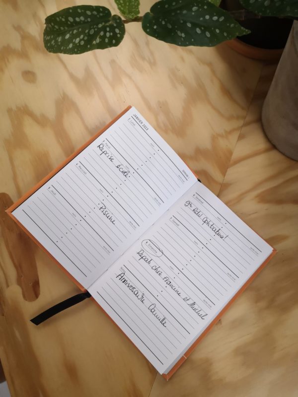processed 7ecc6f7e d1b0 4ef4 99ac adb2e7e445b4 xSDeRdZZ 600x800 - Agenda et carnet de notes 2024